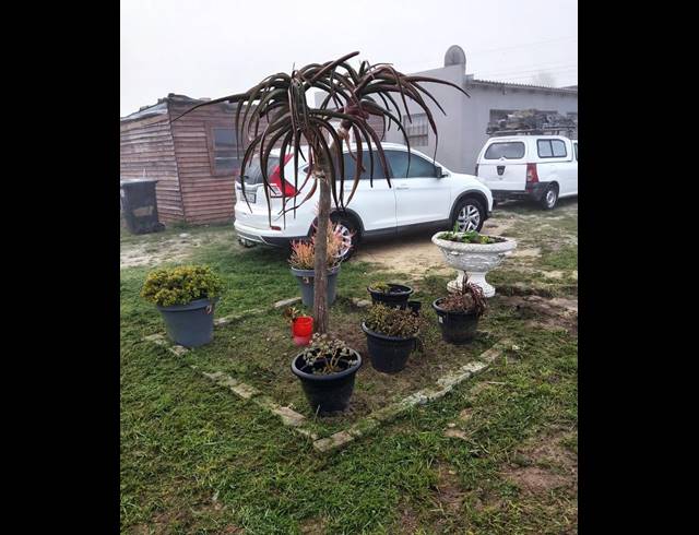 2 BEDROOM HOUSE FOR SALE IN PEERLESS PARK